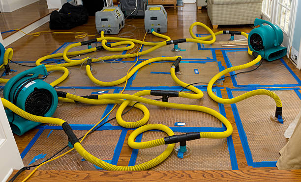 Professional Burst Pipe Water Damage technician working in Watkins, CO